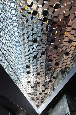 IMG_0020small.JPG