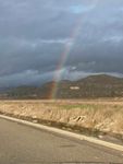 IMG_0619.jpeg
