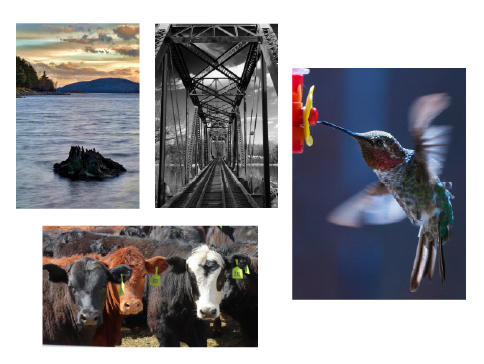 2026 Spring Featured Gallery!