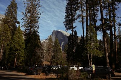 IMG_5478.jpg