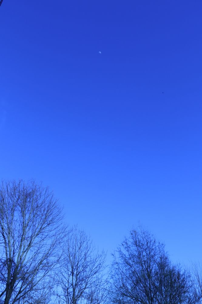 IMG_6092.JPG