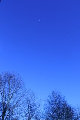 IMG_6092.JPG