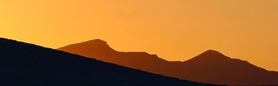IMG_2176.jpeg
