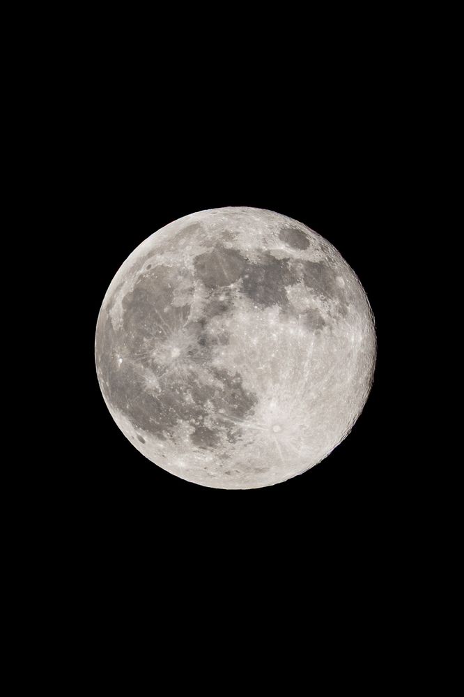 733A7456.jpg