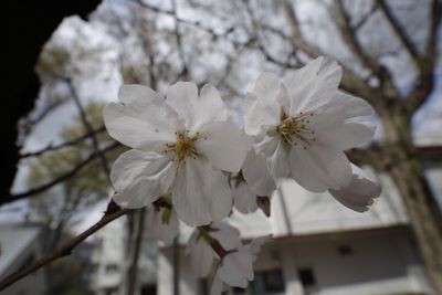 2CC5AE25-33F1-43F9-86FC-1D31956F061B.jpeg