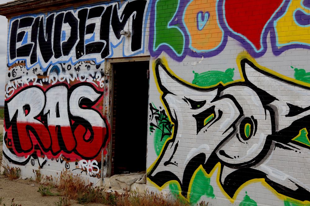 ENDEM.JPG