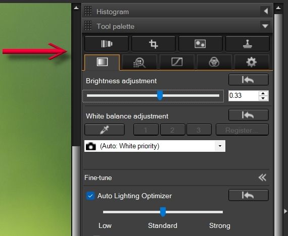 DPP 4 Tool Palette-1.jpg