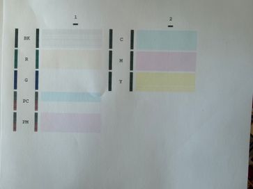 IMG_0973.jpeg