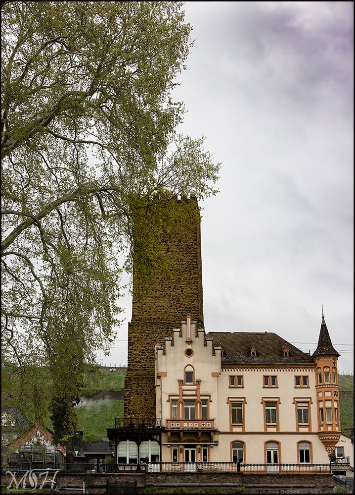 52840_Rüdesheim, Rheingau Wine Museum Broemserburg Castle.jpg