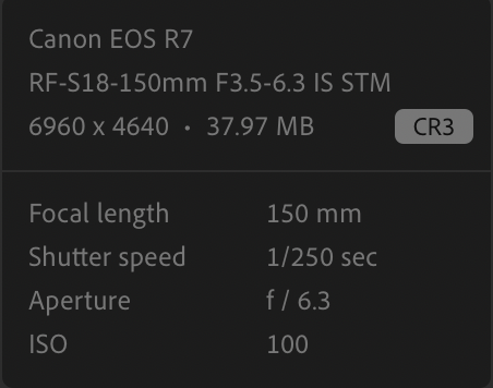 image 1 EXIF data