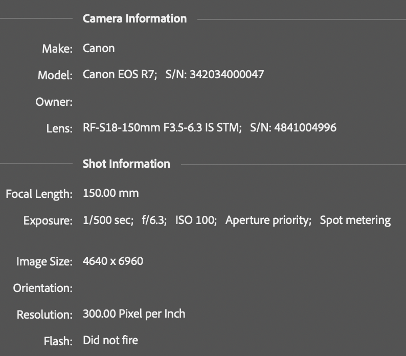 image 2 data