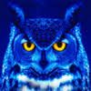 Profile (dunniteowl)
