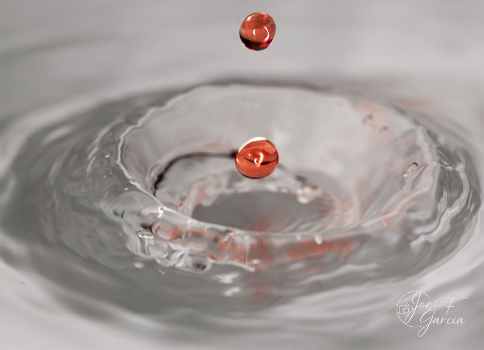 Red Water Droplets  R6 Mark II & RF100mm F2.8 L Macro IS USMIS USM