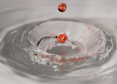 IMG_2457b@0.75x.jpg