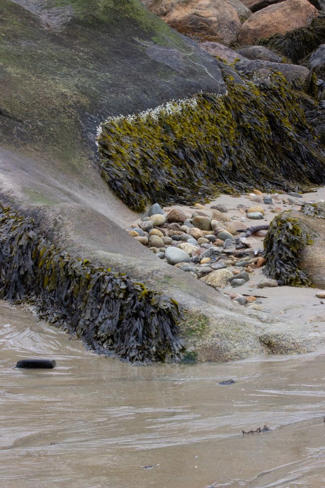 here's a jpg of an image unretouched