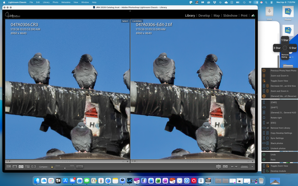 Lightroom (L) vs Topaz (R)