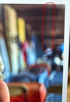 310_test-2.jpg