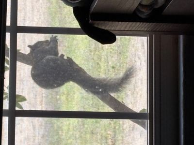 IMG_1692.jpeg