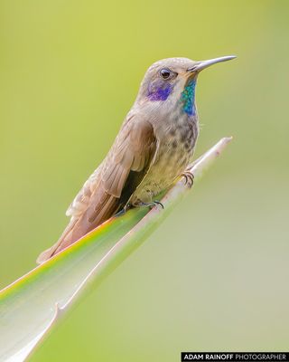 20210213-125180-2.jpg