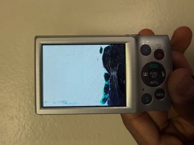 IMG_3624.jpeg