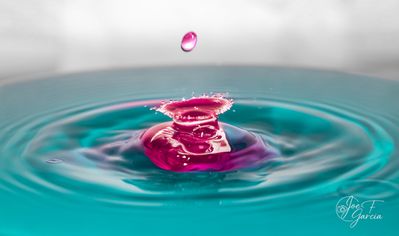 IMG_2898@0.75x.jpg
