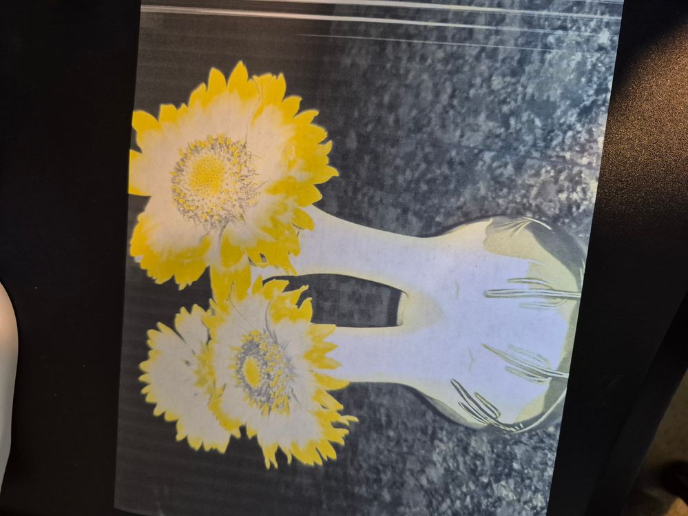 What picture printed