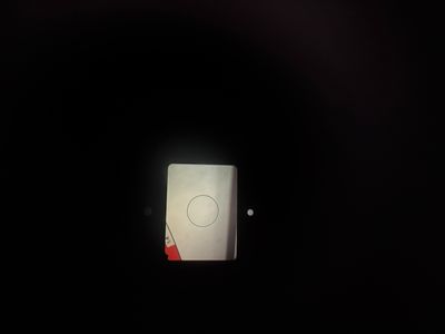 IMG_7404.jpeg