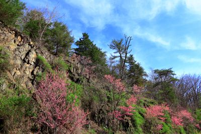 IMG_0505small.JPG