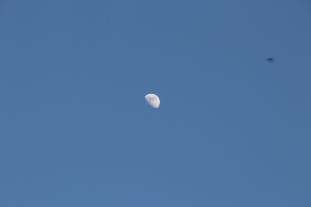 IMG_6384.JPG