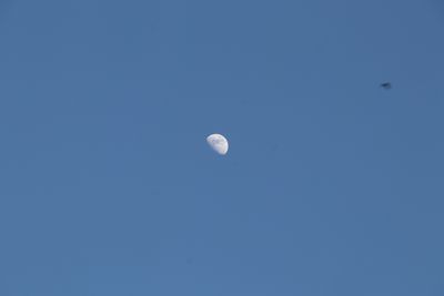IMG_6384.JPG