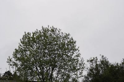 1000057259.jpg