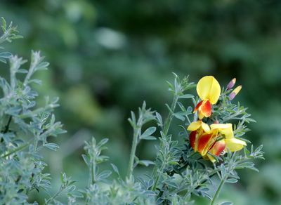 _MG_5578.JPG