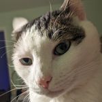 MinnieMay9