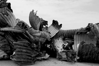 IMG_1685 copy 2.JPG