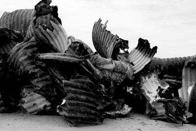 IMG_1683 copy 2.JPG