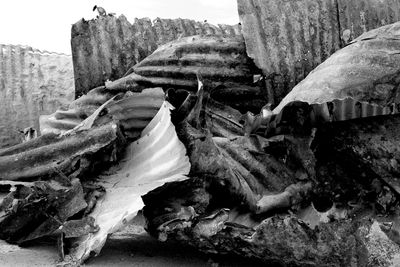 IMG_1686 copy 2.JPG
