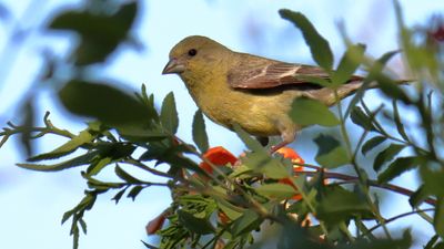 IMG_7693j.JPG