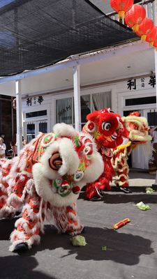 96B515F7-A580-464F-AE2D-B110ABEE94FF.JPG