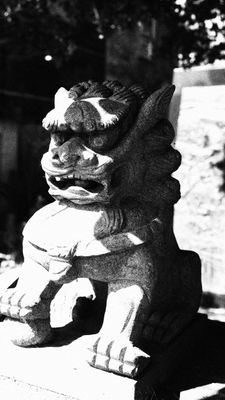 4AA09081-DFE3-4363-B7CF-7327DB736D4A.JPG