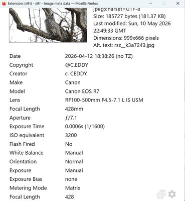 CEDDY EXIF.jpg