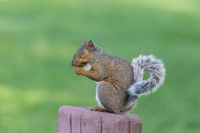 IMG_0282.jpeg