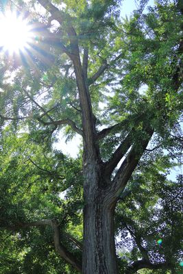 IMG_0887small.JPG