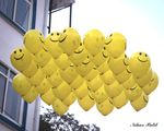 IMG_6131.jpg