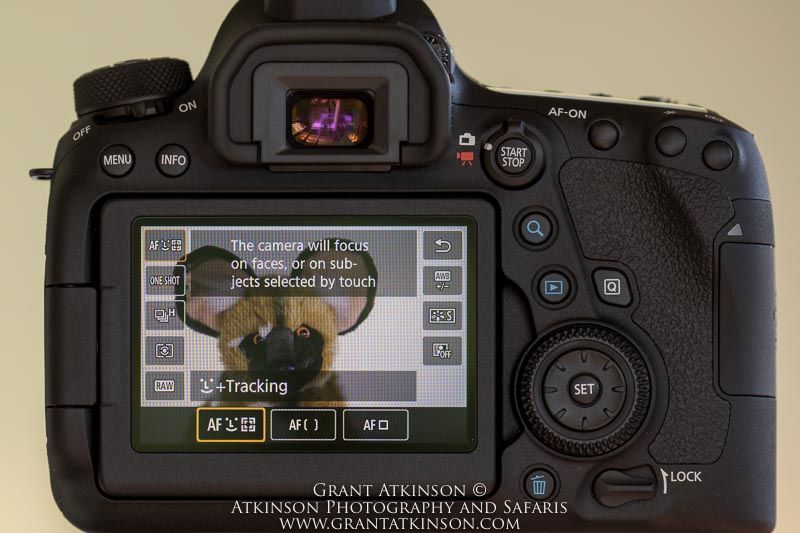 Copyright Grant Atkinson