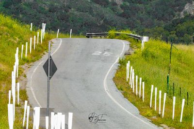 408A9634A@0.75x@0.75x.jpg