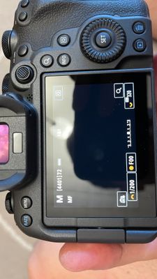 IMG_3204.jpeg