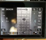 IMG_7560.jpeg