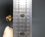 192A4622.JPG