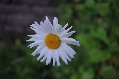 1000062201.jpg
