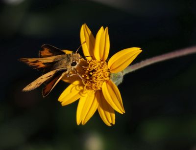 734A1482.jpg